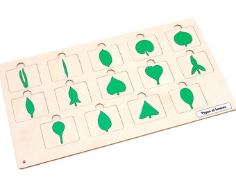 Types of Leaves puzzle with Nomenclature Cards 6-9 (Printed) | Montessori Puzzles | Montessori Botany | Three Part Cards