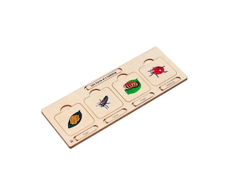 Wooden Life Cycle of a Ladybug Puzzle |  Life Cycle Learning | Montessori Materials | Montessori Zoology | Montessori Wooden Materials