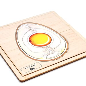Parts of an Egg Nomenclature Puzzle and Nomenclature Cards (6-9) | Montessori Materials | Montessori Zoology | Three Part Cards