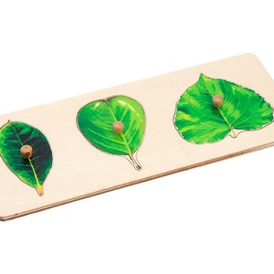 Three Leaves Puzzle | Montessori Materials | Learning and School | Homeschooling