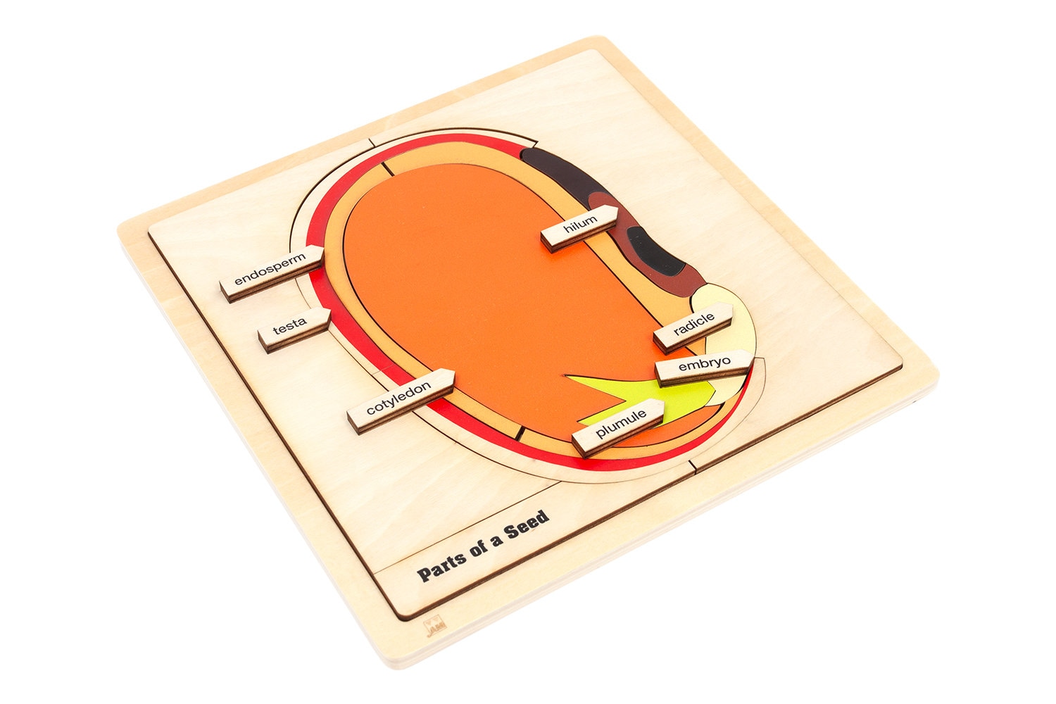Parts of a Seed Puzzle Montessori Materials Montessori Puzzle Geography ...