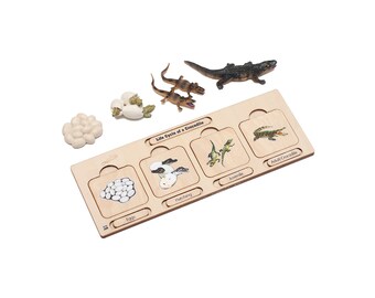 Life Cycle Set: Crocodile | Crocodile Model | Crocodile Puzzle | Montessori Puzzle | Wooden Puzzle