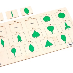 Types of Leaves Puzzle | Montessori Materials | Montessori Botany ...