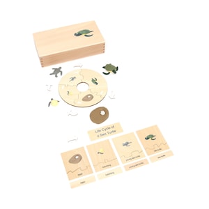 Life Cycle Set of a Sea Turtle - Montessori Life Cycle - Sea Turtle Life Cycle - Montessori Puzzle - Montessori Toy - Alison&#39;s Montessori