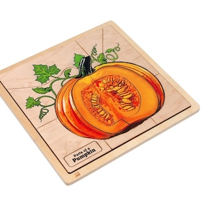 Parts of a Pumpkin puzzle