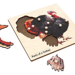 Parts of a Turkey Puzzle | Montessori Material | Zoology Puzzle ...