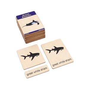 Ocean Animals Montessori Cards: Wooden Three-Part Nomenclature (Printable Set)