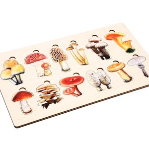 Types of Mushrooms Puzzle | Montessori Puzzles | Botany Puzzles | Homeschool Montessori | Mushroom Learning