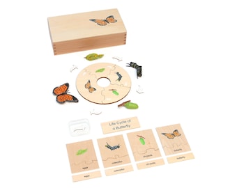 Life Cycle Set of a Butterfly - Montessori Life Cycle - Butterfly Life Cycle - Montessori Puzzle - Montessori Toy