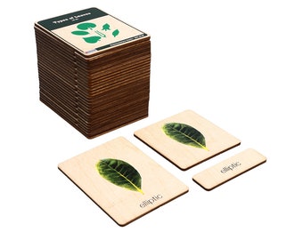 Montessori Types of Leaves - Nomenclature Cards - Homeschooling Materials - Botany Learning - Gifts