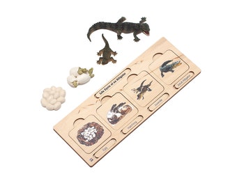 Life Cycle Set: Alligator | Montessori Life Cycle | Animal Puzzle | Montessori Puzzle | Wooden Puzzle | Homeschooling