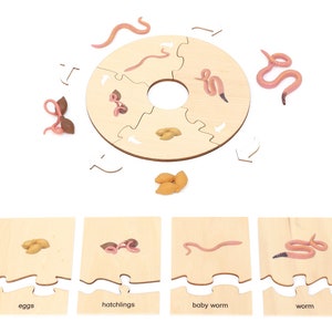 Life Cycle Set of a Worm - Montessori Life Cycle - Worm Life Cycle ...