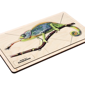 Parts of a Chameleon Puzzle | Montessori Puzzles | Montessori Homeschooling | Montessori Materials | Montessori Printable | Zoology Learning