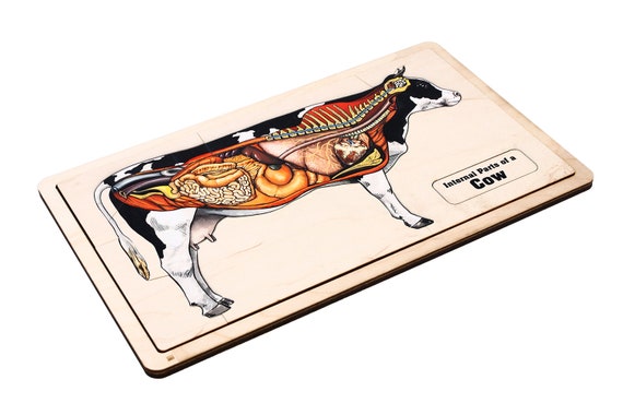 Puzzle En Bois Ancien - Motif Vache Suisse/autrichienne - Complet - Années 50