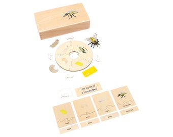 Wooden Honey Bee Life Cycle Puzzle - Montessori Learning Set