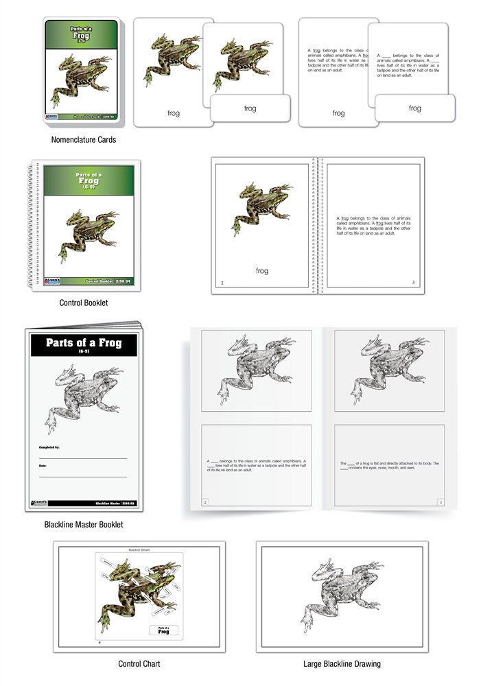 Parts of a Frog Puzzle With Nomenclature Cards (6-9) | Montessori ...
