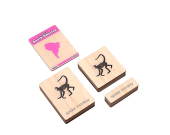 Animals of South America Wooden Nomenclature Cards | Montessori Primary Curriculum | Montessori Materials | Montessori Three-Part Cards