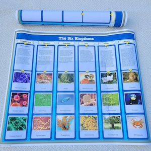 The Six Kingdoms Chart Complete Set | The Six Kingdoms Printable | Alison&#39;s Montessori