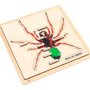 Parts of a Spider Puzzle | Montessori Materials | Montessori Zoology Puzzles | Homeschool Zoology