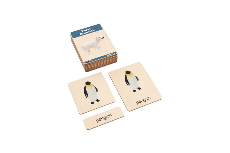 Polar Animals Montessori Cards: Geography Nomenclature Three-part Card ...