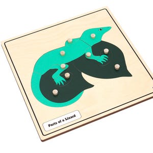 May include: A wooden puzzle with a green and black lizard shape. The puzzle has a title that reads "Parts of a Lizard".