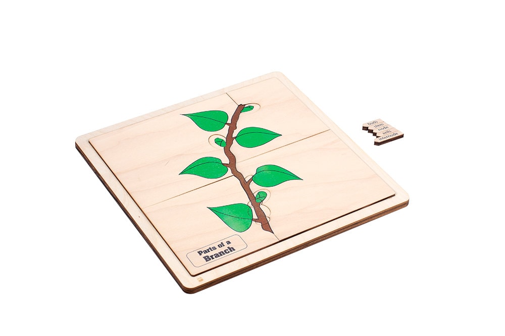 Parts of a Branch Puzzle With Nomenclature Cards (6-9) | Montessori ...