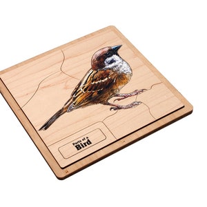Parts of a Bird Puzzle with Nomenclature Cards (6-9) | Montessori Materials | Montessori Zoology | Three Part Cards