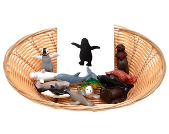 Object to Silhouette Matching: Sea-life | Montessori Materials | Pre-Reading | Matching Activity