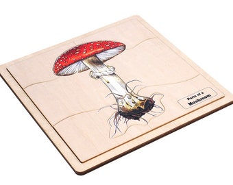 Parts of a Mushroom Puzzle with Nomenclature Cards (6-9) | Montessori Puzzles | Montessori Botany | Montessori Three Part Cards