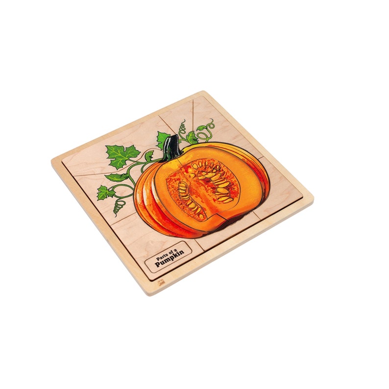 Parts of a Pumpkin Puzzle | Montessori Puzzle | Montessori Printable