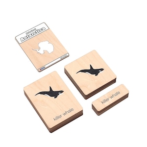Animals of Antarctica Wooden Nomenclature Cards | Montessori Primary | Montessori Three-Part Cards | Continent Animals | Antarctica Animals