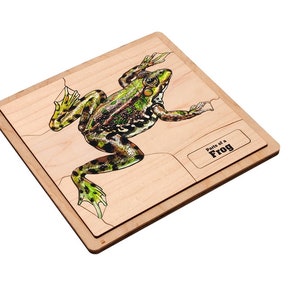 Frog Anatomy Puzzle: Montessori Zoology Nomenclature Cards