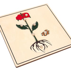 May include: A wooden puzzle featuring a red hibiscus flower with green leaves and a brown root system. The puzzle pieces are held in place by small wooden pegs.
