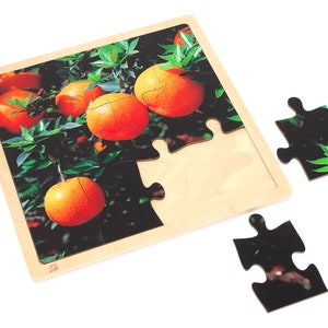 Orange - Jigsaw Puzzle | Montessori Material | Jigsaw Puzzle | Problem Solving Skills