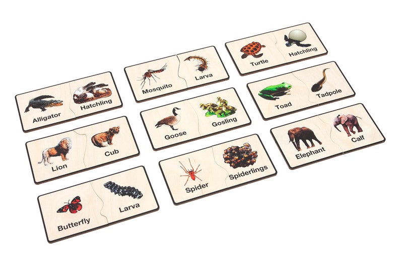 Animals and Their Young Matching Tiles | Montessori Materials ...