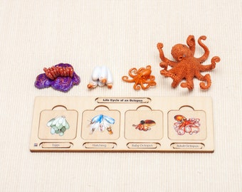 Life Cycle of an Octopus | Octopus Life Cycle | Life Cycle Puzzle | Infant & Toddler Puzzle | Montessori Puzzle