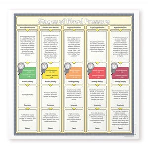 Comprehensive Blood Pressure Stages Chart: Educational Science Resource for Classrooms and Health Awareness
