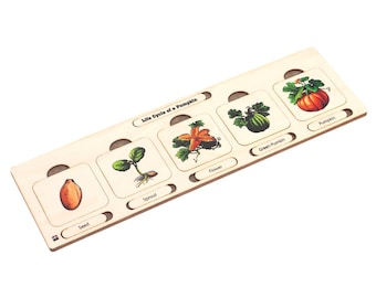 Pumpkin Life Cycle Puzzle: Montessori Wooden Learning