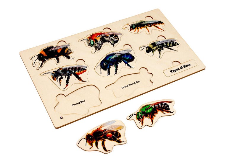 Types of Bees Puzzle | Montessori Materials | Zoology Puzzle ...