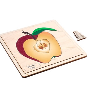 Montessori Parts of a Fruit Puzzle - Educational Puzzle for Kids - Fruit Puzzle - Toddle Toy - Educational Toy - Montessori Puzzle -