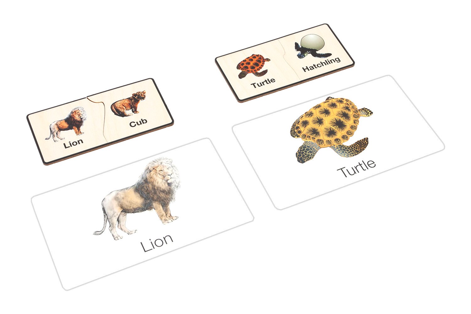 Animals and Their Young - Complete Set | Montessori Materials ...