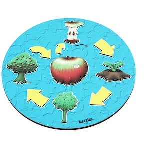 Life Cycle of an Apple | Life Cycle Puzzles | Montessori Fruit Puzzle | Learning Puzzle | Apple Puzzle