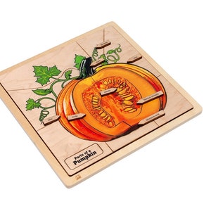 Parts of a Pumpkin Puzzle | Montessori Puzzle | Montessori Printable