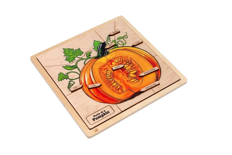 Parts of a Pumpkin Puzzle | Montessori Puzzle | Montessori Printable