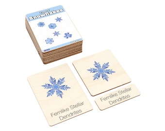 Types of Snowflakes Wooden Nomenclature Cards (3-6) | Montessori Materials | Nomenclature Cards | Homeschooling