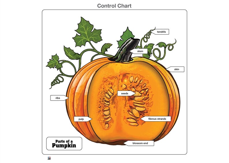 Parts of a Pumpkin puzzle