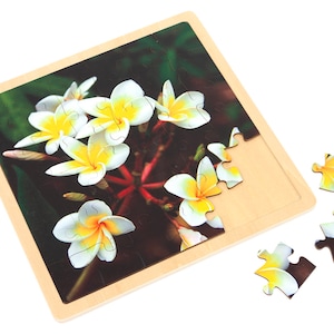 Plumeria - Jigsaw Puzzle | Montessori Material | Jigsaw Puzzle | Problem Solving Skills