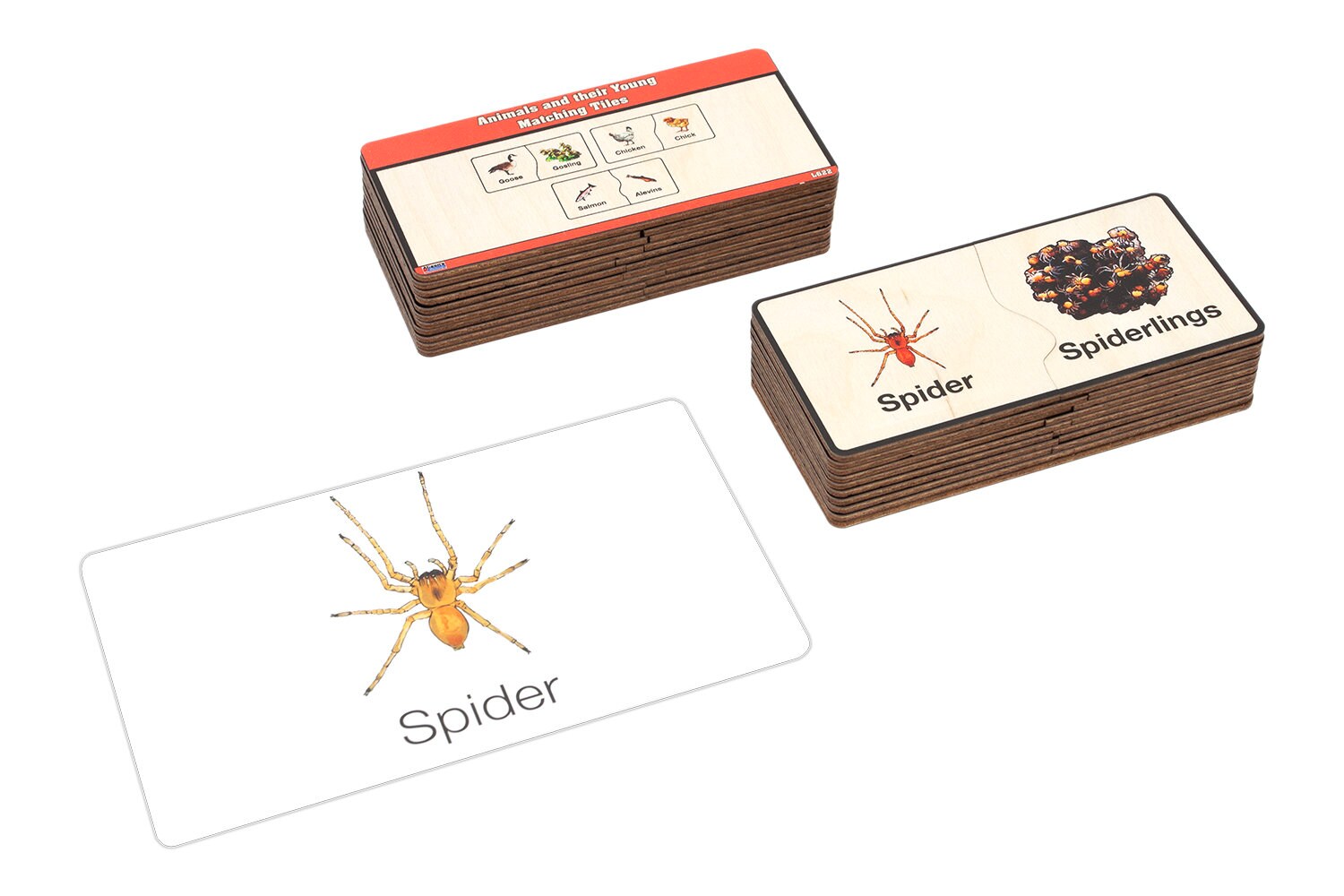 Animals and Their Young - Complete Set | Montessori Materials ...