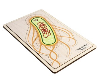 Parts of an E. Coli Puzzle | Montessori Science Puzzles | Homeschool Science Learning