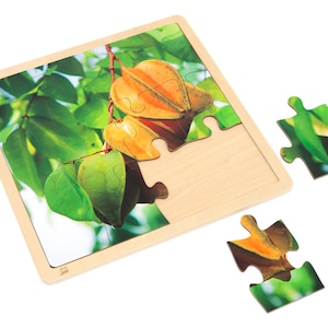 Star Fruit - Jigsaw Puzzle | Montessori Material | Jigsaw Puzzle | Problem Solving Skills